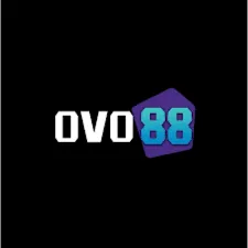 OVO88 - Game Live Casino Terbaik untuk Pengalaman Bermain Menyenangkan